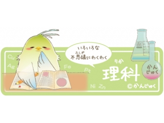 集団指導で5科勉強しよう！