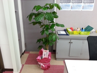 御礼